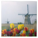 Recherche de tulipe carreaux Pays bas