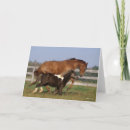 Recherche de shetland vœux cartes Chevaux
