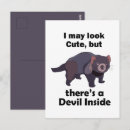 Recherche de tasmanie cartes postales Diable de tasmanie