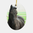 Recherche de frison ornements Cheval
