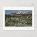 Recherche de mammouth cartes postales États