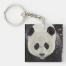 Zoek naar giant sleutelhangers Panda
