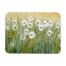Recherche de marguerites magnets Botanique