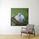 Recherche de plumage art Blanc