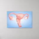 Recherche de vagin posters Détail