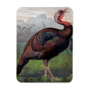 Recherche de coq refrigérateur magnets Oiseaux