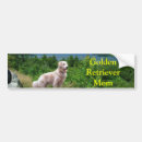 Recherche de golden retriever voiture autocollants D'or