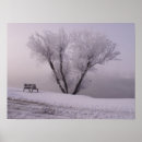 Zoek naar parkbank posters Tuin
