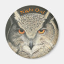 Recherche de rapace magnets Chasseur