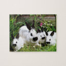 Recherche de bun puzzles Lapin