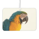 Recherche de perroquets voiture accessoires Oiseau