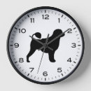 Recherche de chien d eau portugais Portie