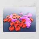 Recherche de cytologie posters Trois dimensions