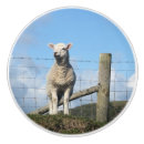 Recherche de mouton boutons et poignées de porte Agneau