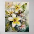 Recherche de plumeria posters Hawaii