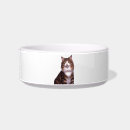 Recherche de tom animaux articles Animal