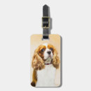 Recherche de roi cavalier charles bagages étiquettes Cavaliking king