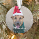 Zoek naar holiday ornamenten Eerste kerstjaar