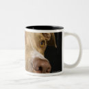 Recherche de rouge épaulé tasses Animal
