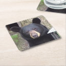 Recherche de griffe dessous de verres Faune