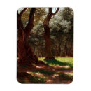 Recherche de oliviers magnets Olive