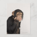 Recherche de visage de singe cartes postales Faune