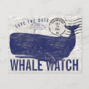 Recherche de observation de baleine Nautique