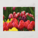 Recherche de multicolore cartes postales Rouge