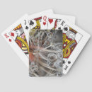 Recherche de pissenlit jeux de cartes Californie