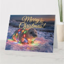 Recherche de phoque vœux cartes Festif