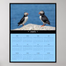 Zoek naar papegaaiduikers posters Machias seal island