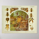 Recherche de vintage allemande art Cru