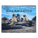 Recherche de pingouins bureau fournitures Galapagos