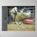 Recherche de équitation de taureau posters Rodéo