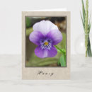 Zoek naar pansy kaarten Paars