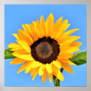Zoek naar geel en blauw posters For her