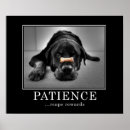 Recherche de determination posters Perseverence