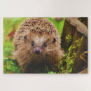 Recherche de hérisson puzzles Nature