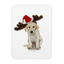 Recherche de ren magnete Noël