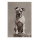Recherche de photos vintages de chien posters Amoureux des chiens