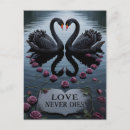 Recherche de le cygne vœux cartes Roses