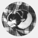 Recherche de contrôle photographie Animaux