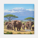 Recherche de d éléphant magnets Travel