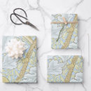 Recherche de james papier cadeau Motif floral
