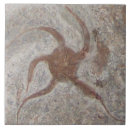 Recherche de ardoise carreaux Brun