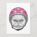 Recherche de perse cartes postales Drôle