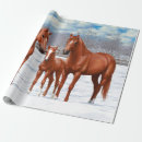 Zoek naar kwart cadeaupapier Paarden