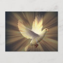 Recherche de colombe de paix cartes postales Blanc