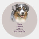 Zoek naar australische herder stickers Hoeden