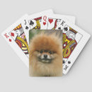 Recherche de headshot jeux de cartes Loulou